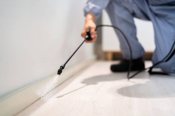 Rodent Entry Point Assessment in Spring Valley