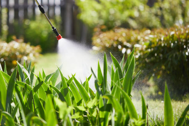 Tamper-Resistant Bait Stations for Rodents in Spring Valley